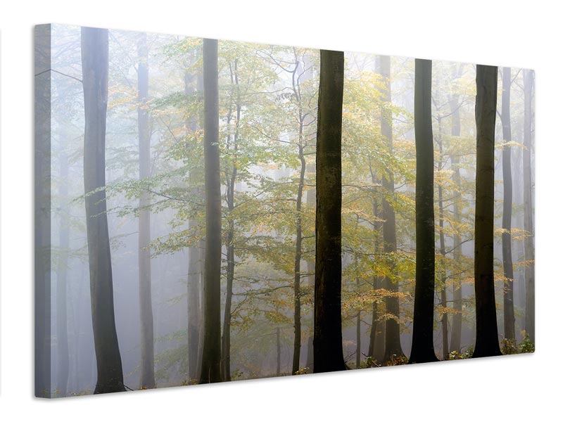 canvas-print-in-between-x