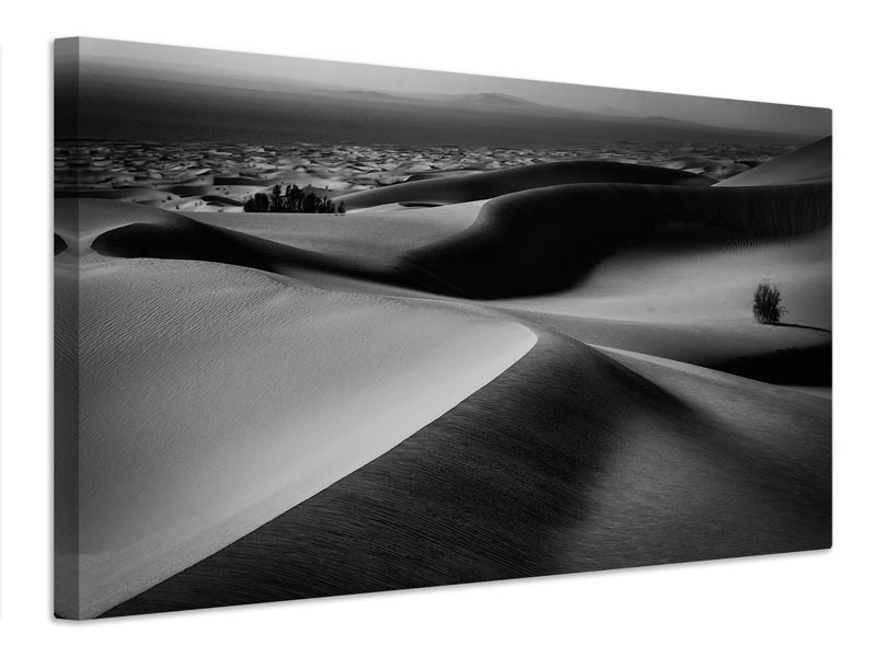 canvas-print-qviewq-x