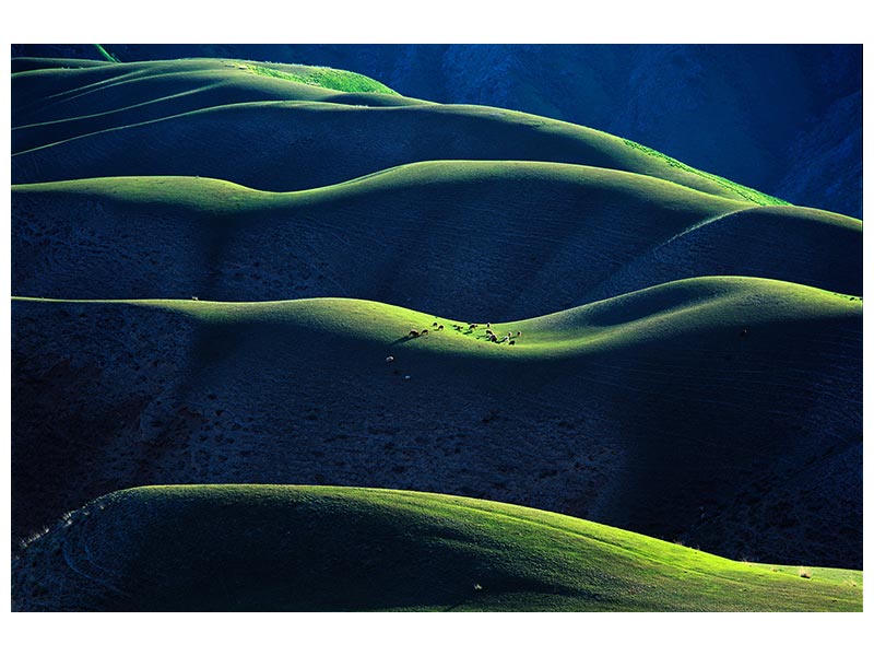 canvas-print-rhythm-x