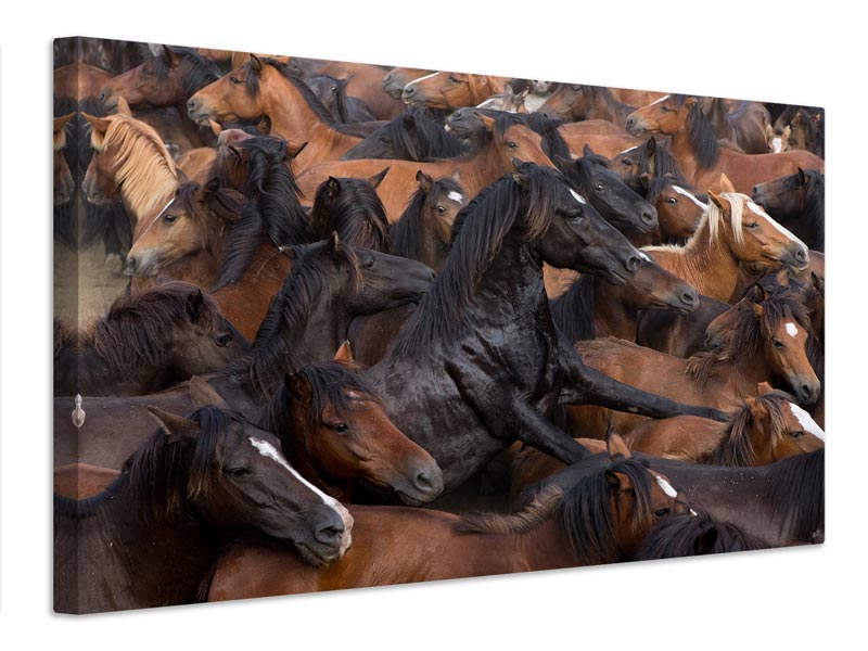 canvas-print-the-one-x