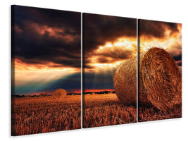 3-piece-canvas-print-mystic-landscape