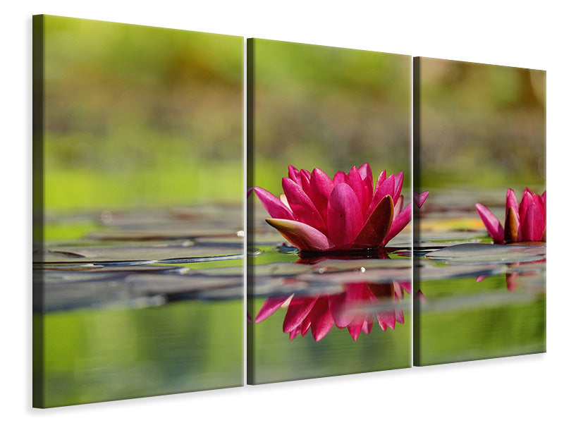 3-piece-canvas-print-red-water-lily-duo