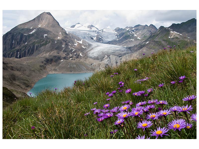 canvas-print-corno-gries-switzerland-x