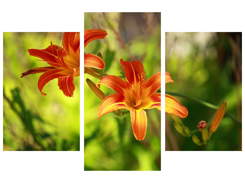 modern-3-piece-canvas-print-lilies-in-nature