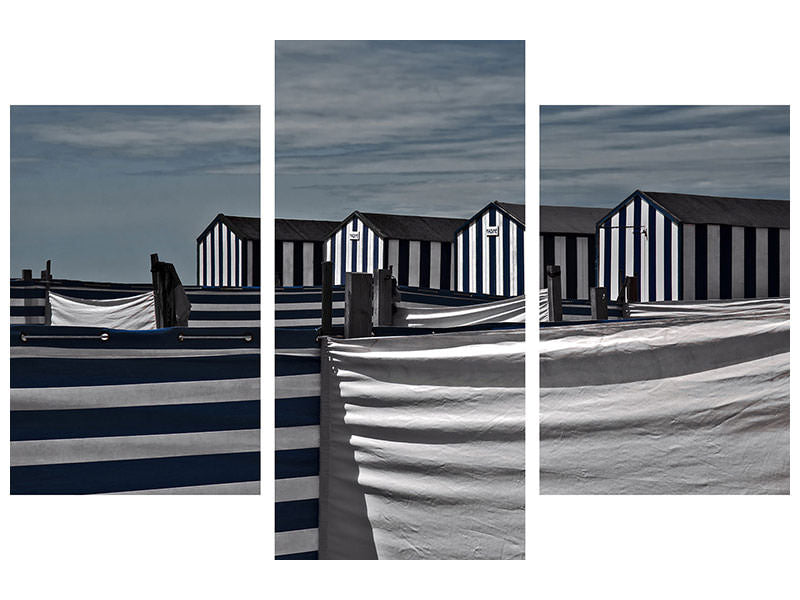 modern-3-piece-canvas-print-territorial-behavior