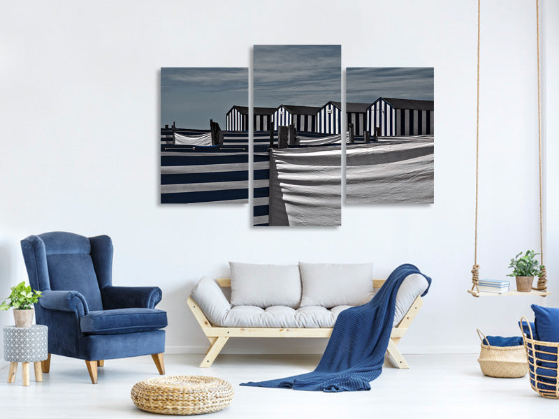 modern-3-piece-canvas-print-territorial-behavior