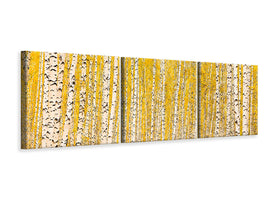 panoramic-3-piece-canvas-print-the-birch-forest-in-autumn