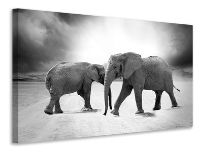 3-piece-canvas-print-2-elephants-sw