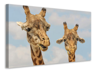 3-piece-canvas-print-2-giraffes