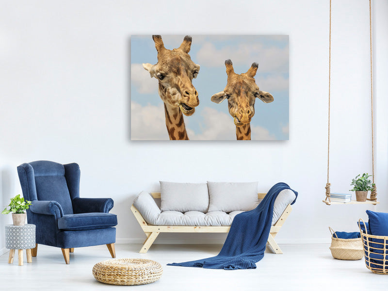 3-piece-canvas-print-2-giraffes