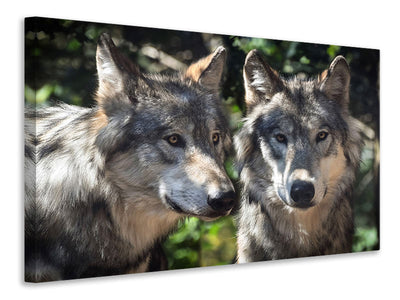 3-piece-canvas-print-2-wolves