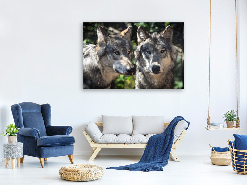 3-piece-canvas-print-2-wolves