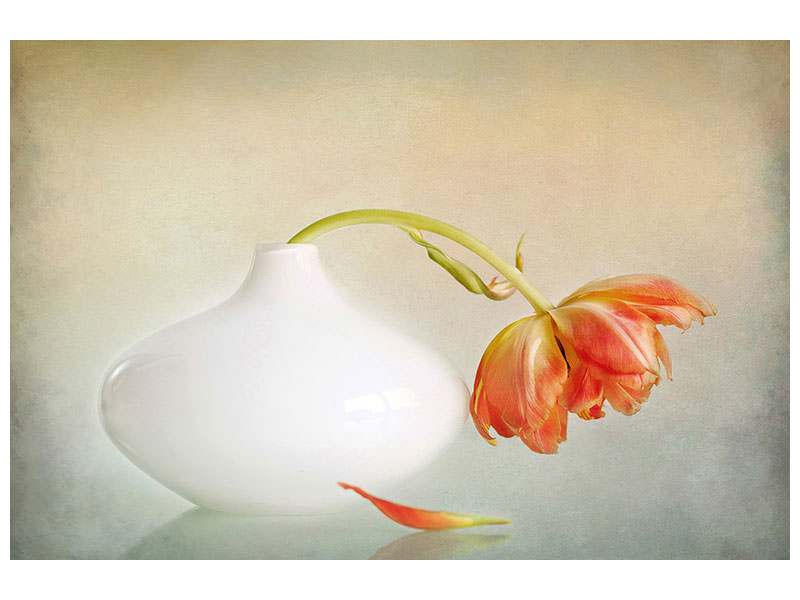 5-piece-canvas-print-2lip