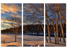 3-piece-canvas-print-birches-in-the-winter