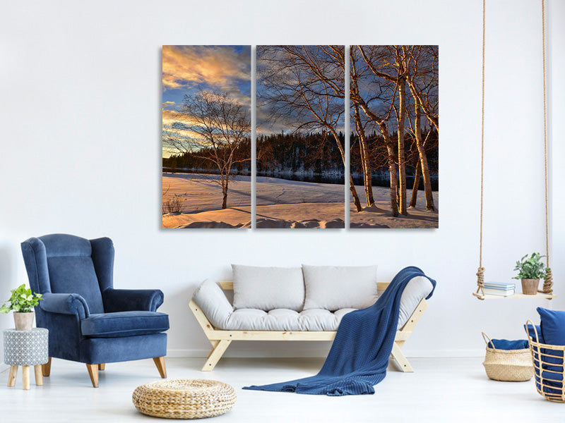 3-piece-canvas-print-birches-in-the-winter