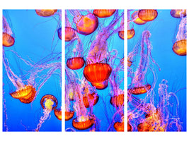 3-piece-canvas-print-colorful-jellyfish