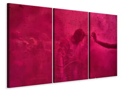 3-piece-canvas-print-colorful-life