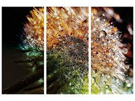 3-piece-canvas-print-dandelion-in-the-morning-dew