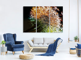 3-piece-canvas-print-dandelion-in-the-morning-dew