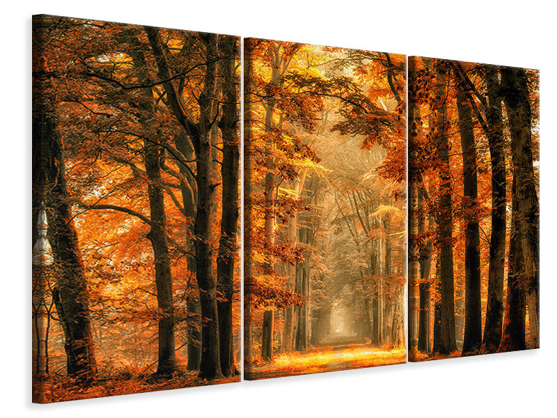3-piece-canvas-print-exit-the-portal