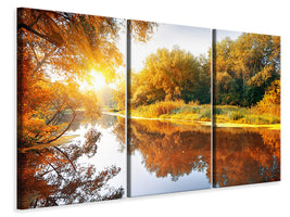 3-piece-canvas-print-forest-reflection-in-water