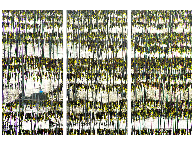 3-piece-canvas-print-harvesting-kelp