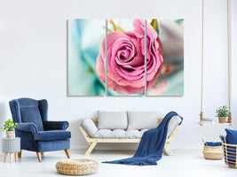 3-piece-canvas-print-roseblossom-in-pink