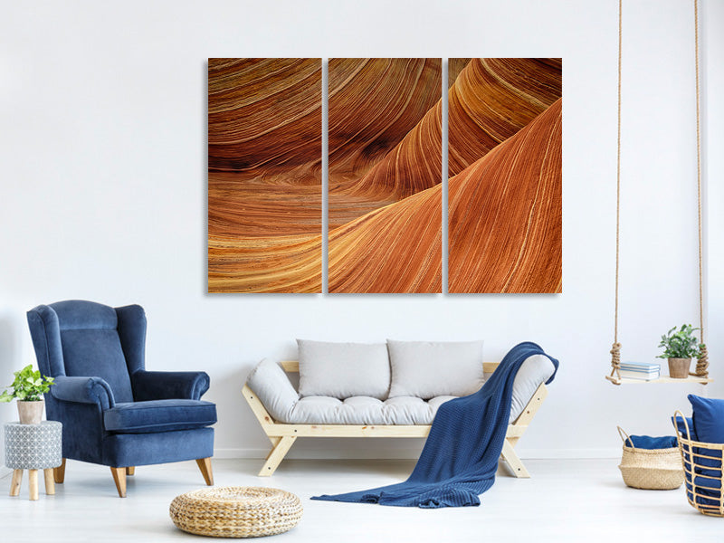 3-piece-canvas-print-the-movement