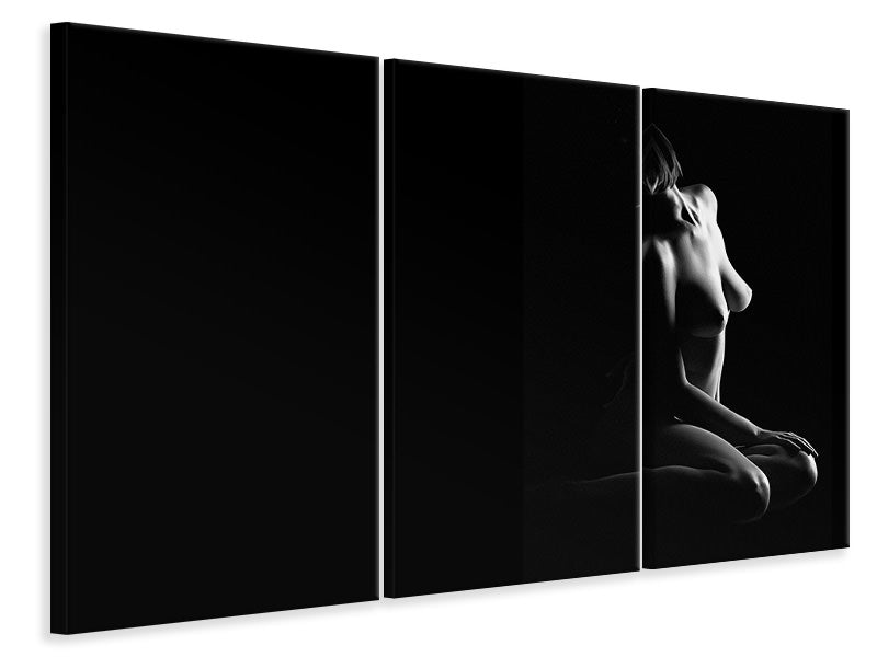 3-piece-canvas-print-the-unknown-beautiful