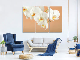 3-piece-canvas-print-white-orchid-flowers