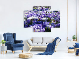 4-piece-canvas-print-a-field-full-of-crocuses