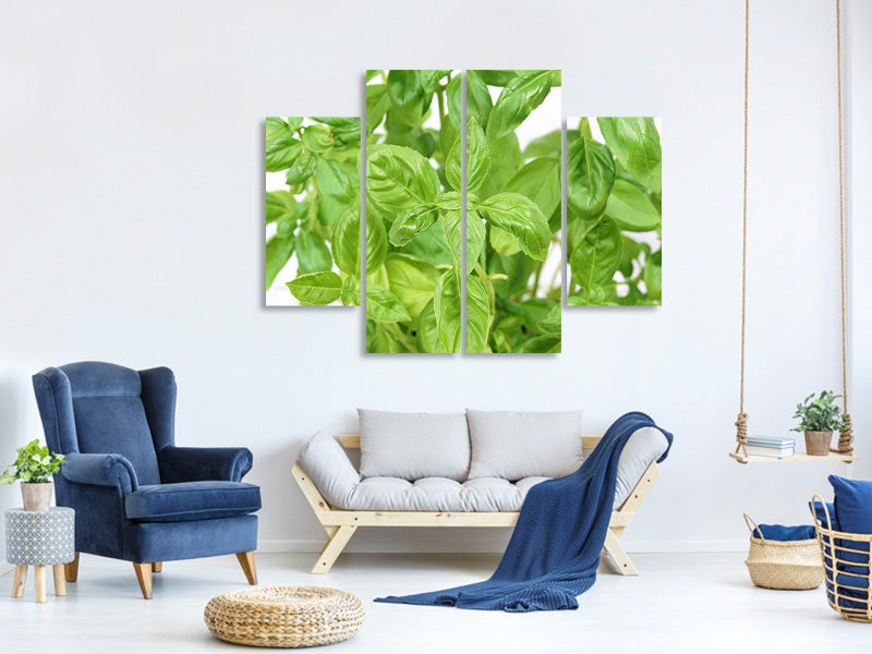 4-piece-canvas-print-basil-in-xxl