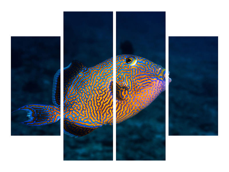 4-piece-canvas-print-blue-triggerfish