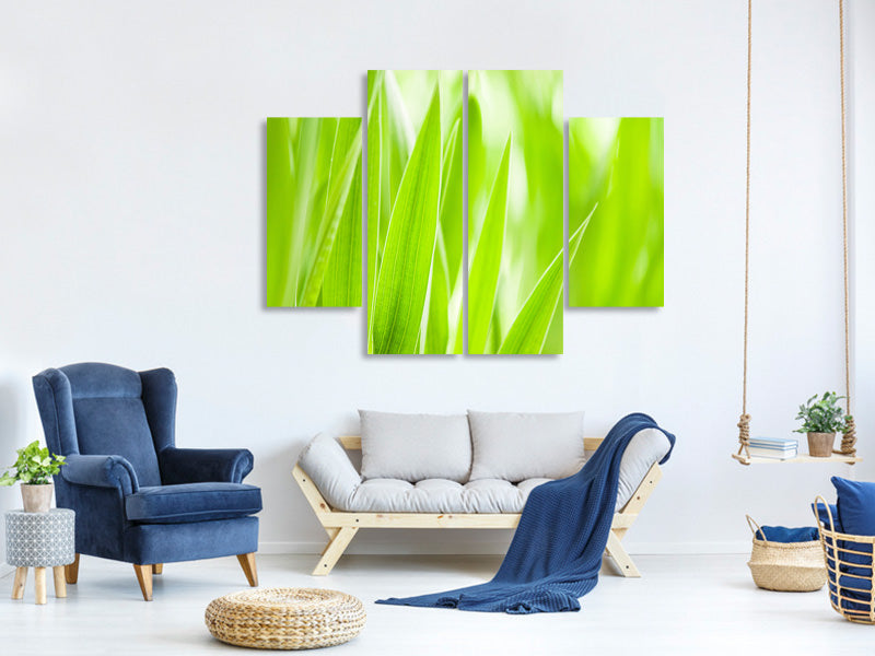 4-piece-canvas-print-grass-xxl