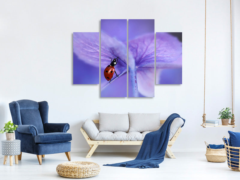 4-piece-canvas-print-ladybird-on-purple-hydrangea