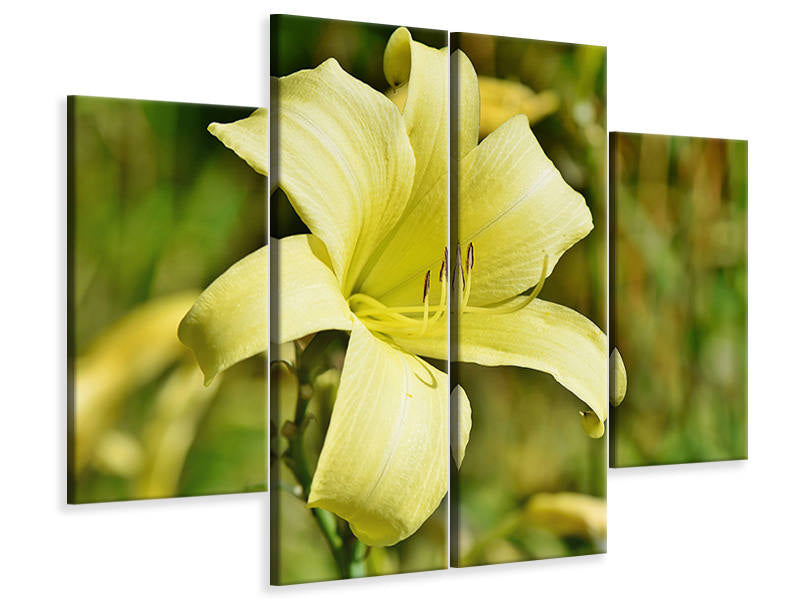 4-piece-canvas-print-lilies-blossom-in-yellow