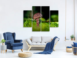 4-piece-canvas-print-strobilomyces-strobilaceus