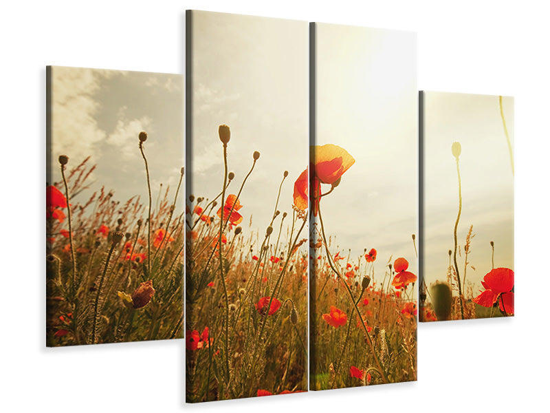 4-piece-canvas-print-the-poppy-field-at-sunrise