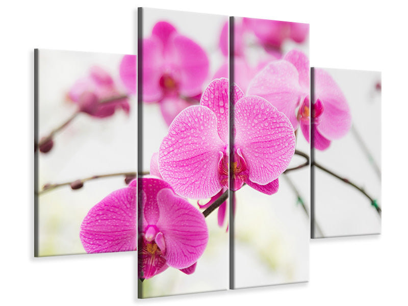 4-piece-canvas-print-the-symbol-of-orchid