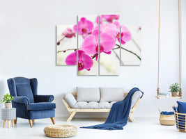 4-piece-canvas-print-the-symbol-of-orchid