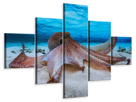 5-piece-canvas-print-octopus