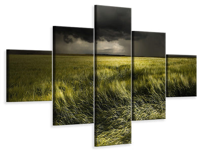5-piece-canvas-print-summer-weather