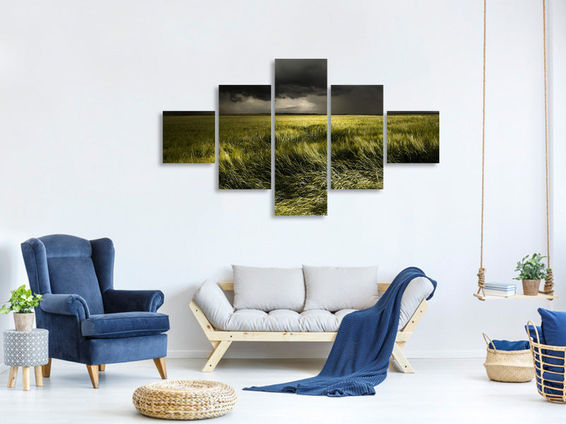 5-piece-canvas-print-summer-weather