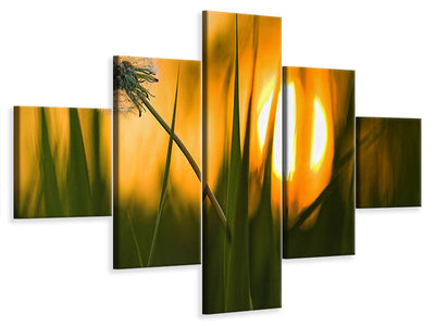 5-piece-canvas-print-sunbathing