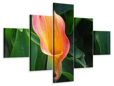 5-piece-canvas-print-wild-calla