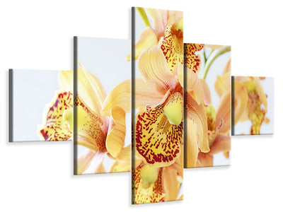 5-piece-canvas-print-yellow-orchid