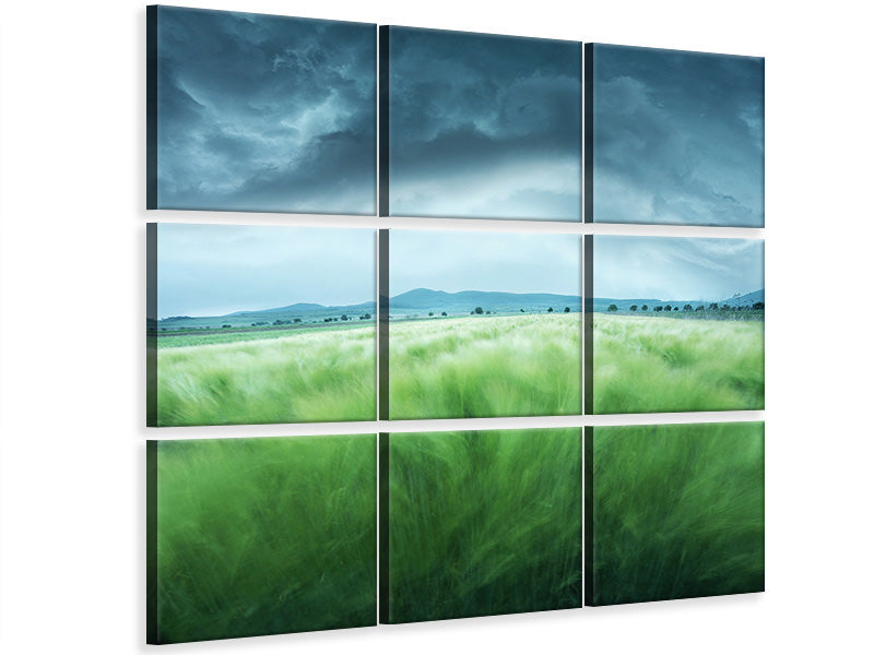 9-piece-canvas-print-barley-field