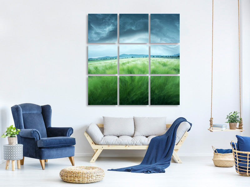 9-piece-canvas-print-barley-field