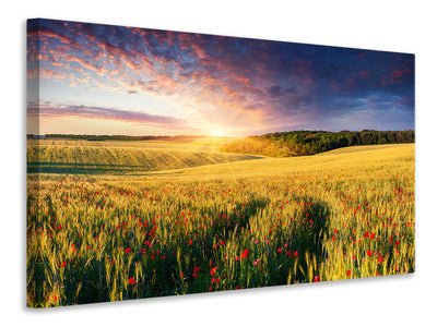 panoramic-canvas-print-a-flower-field-at-sunrise
