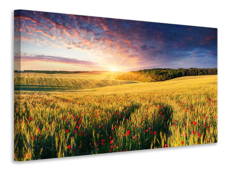 modern-4-piece-canvas-print-a-flower-field-at-sunrise